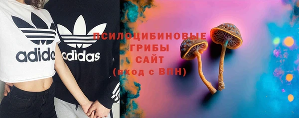 гашик Приозерск