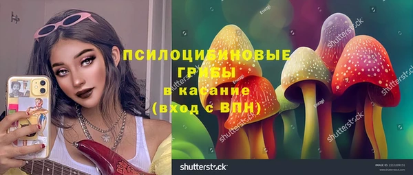 гашик Приозерск